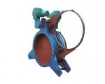 Electric glasses valve (the valve)