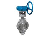 Triple eccentric soft/hard seal butterfly valve to the clamp