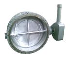 Hydraulic control slow close check butterfly valve with heavy hammer